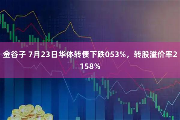 金谷子 7月23日华体转债下跌053%，转股溢价率2158%